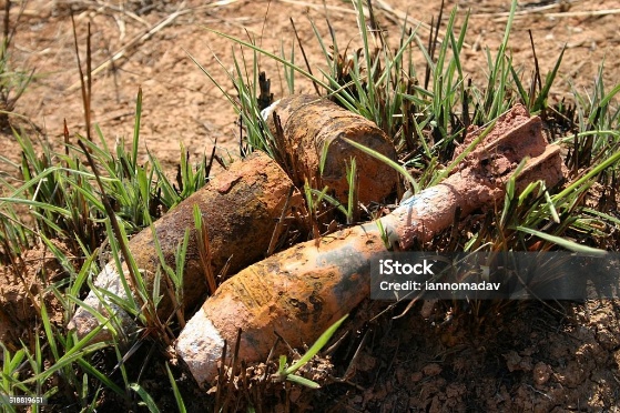 Japan International Cooperation System